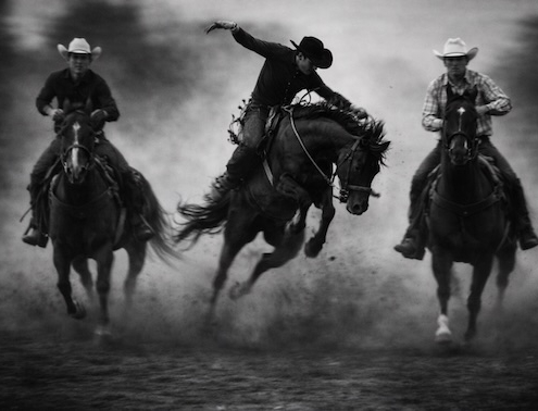 Black and white rodeo-style artwork of an elderly woman riding a wild bull symbolising the emotional cost of poor UX and debt collection systems.