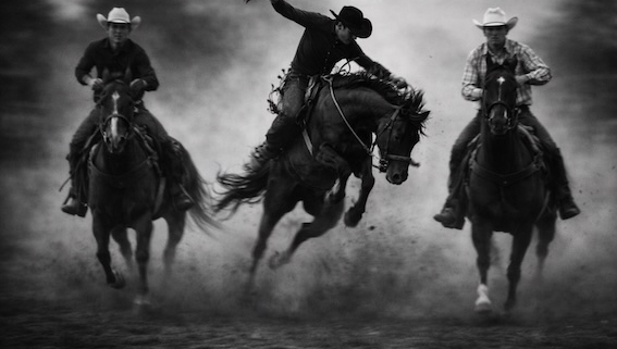 Black and white rodeo-style artwork of an elderly woman riding a wild bull symbolising the emotional cost of poor UX and debt collection systems.