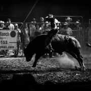 Test your ideas in 5 days with Pink Cowboy UX Design and product designer