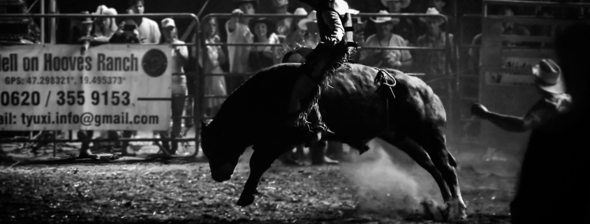 Test your ideas in 5 days with Pink Cowboy UX Design and product designer